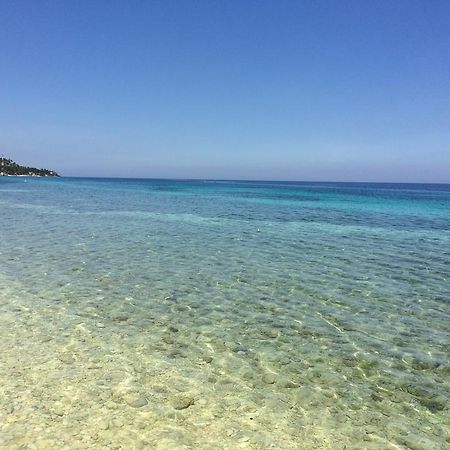 Oslob Garden Stay Beach Resort Eksteriør bilde