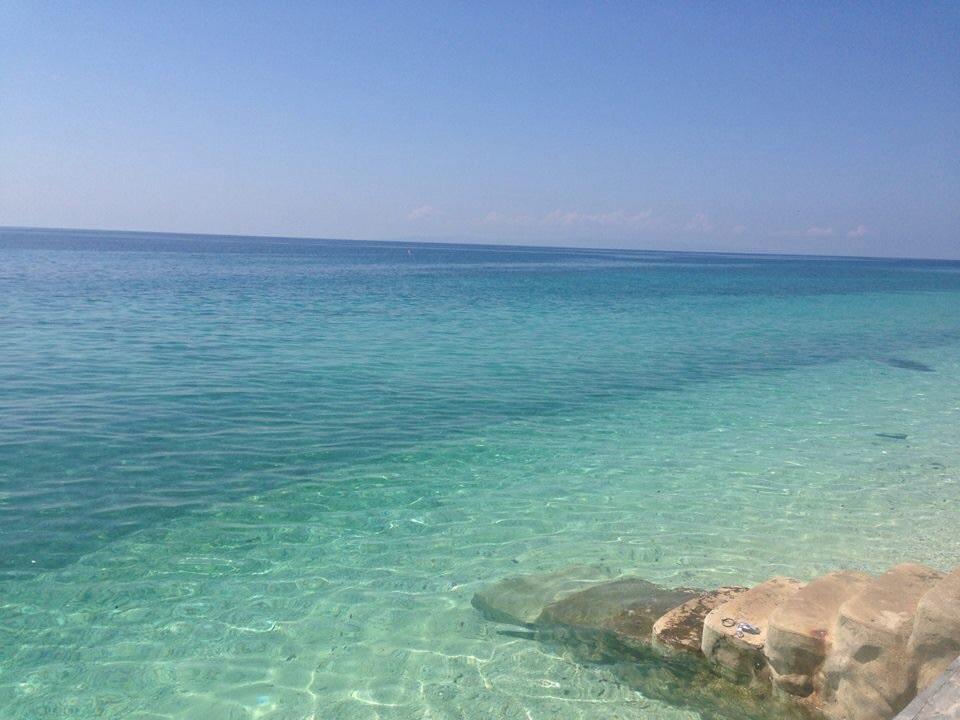 Oslob Garden Stay Beach Resort Eksteriør bilde